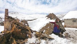 В Перу из-за холодов введен режим ЧП